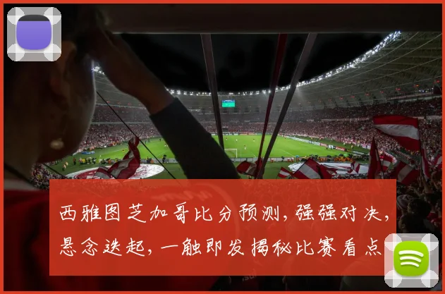 西雅图芝加哥比分预测,强强对决,悬念迭起,一触即发揭秘比赛看点