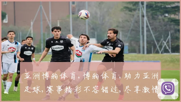 亚洲博狗体育,博狗体育,助力亚洲足球,赛事精彩不容错过,尽享激情盛宴