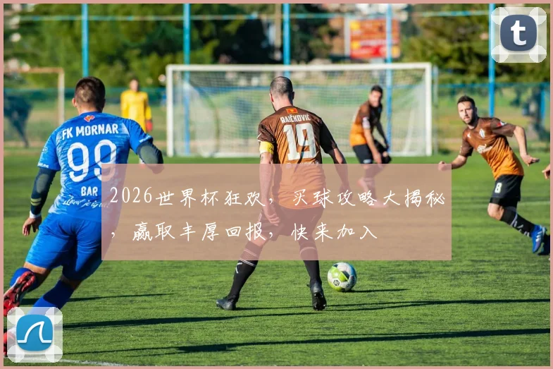 2026世界杯狂欢，买球攻略大揭秘，赢取丰厚回报，快来加入
